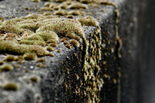 Love Walls like this